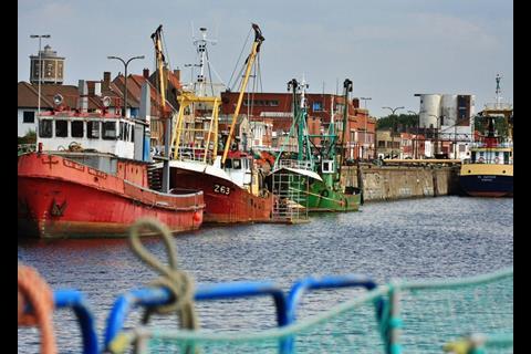 WWF wants swift completion of talks to adopt new WTO guidelines banning harmful fisheries subsidies Photo: Wiki/Roysfoto